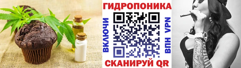 дарнет шоп  Игарка  Canna-Cookies конопля 