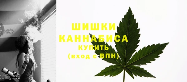 СК Снежинск